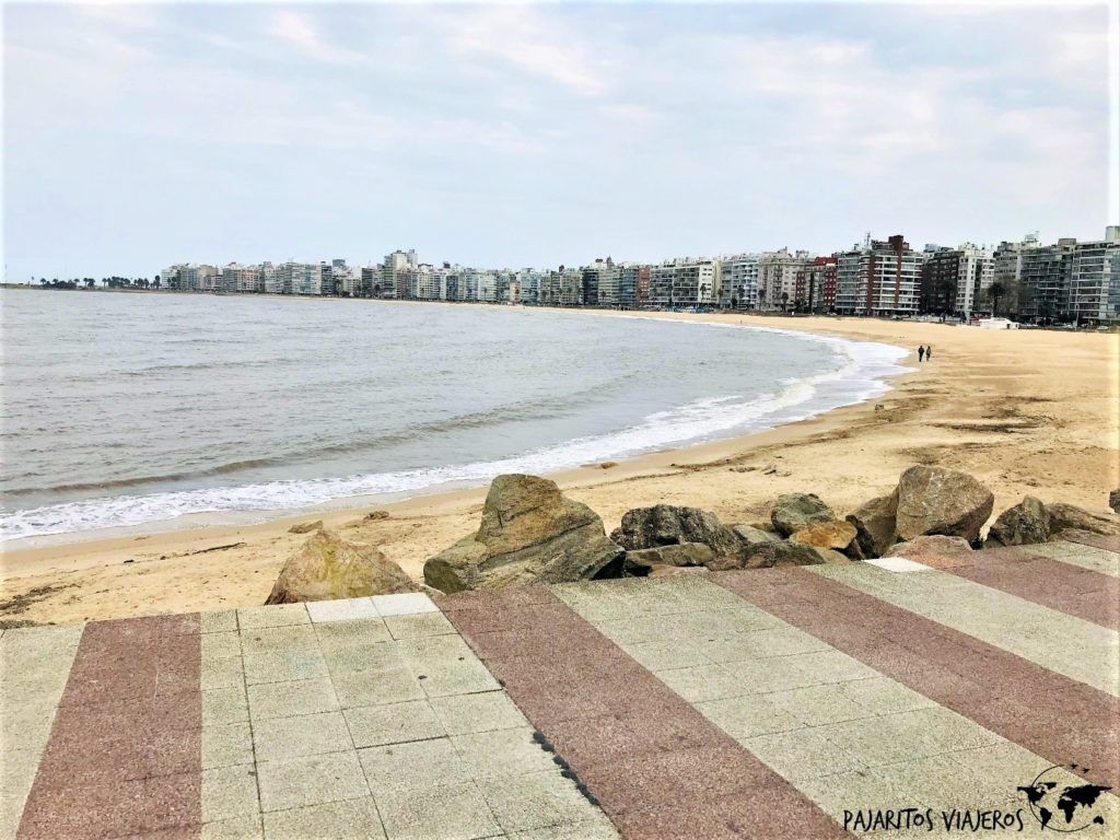Playa de los Pocitos de Montevideo, Uruguay