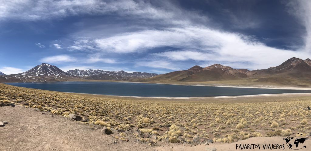Laguna Miscanti, San Pedro de Atacama sin gluten free chile viaje