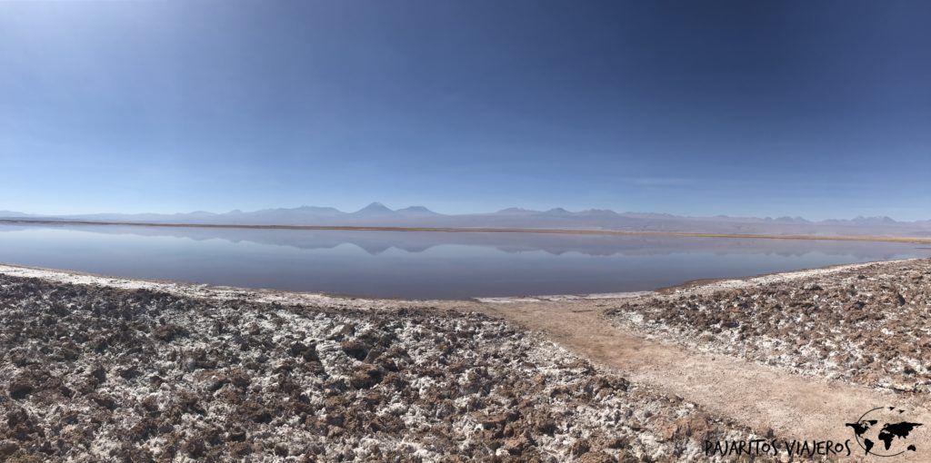Laguna Tebinquiche San Pedro de Atacama sin gluten free chile viaje