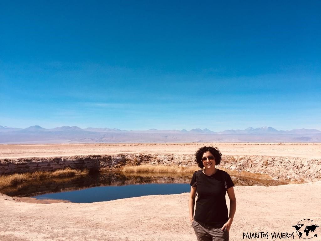 Ojos del Salar San Pedro de Atacama sin gluten free chile viaje