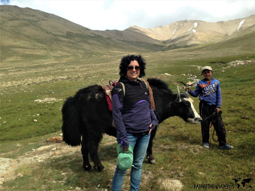 ruta pamir tayikistan viaje gluten yak