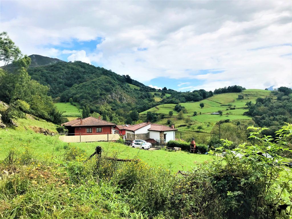 Llenin Asturias Gluten Viaje Picos Cangas 