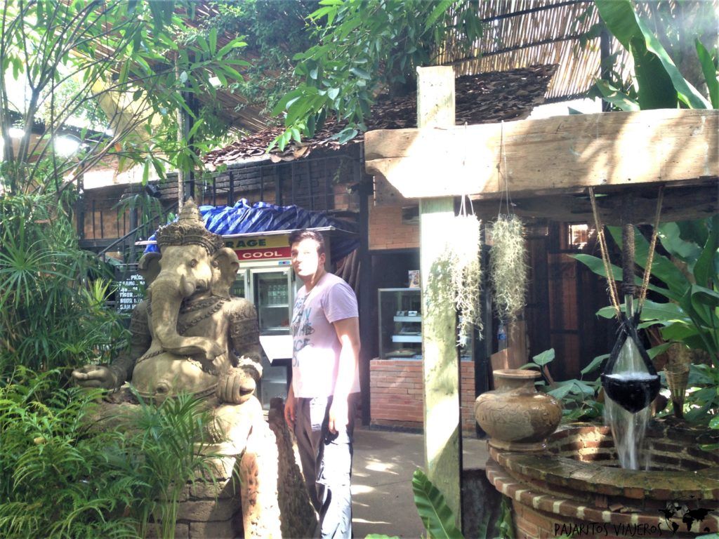 Chiang Mai, Jardín de Terracota, Baan Poor Liang Meun sin gluten free tailandia viaje