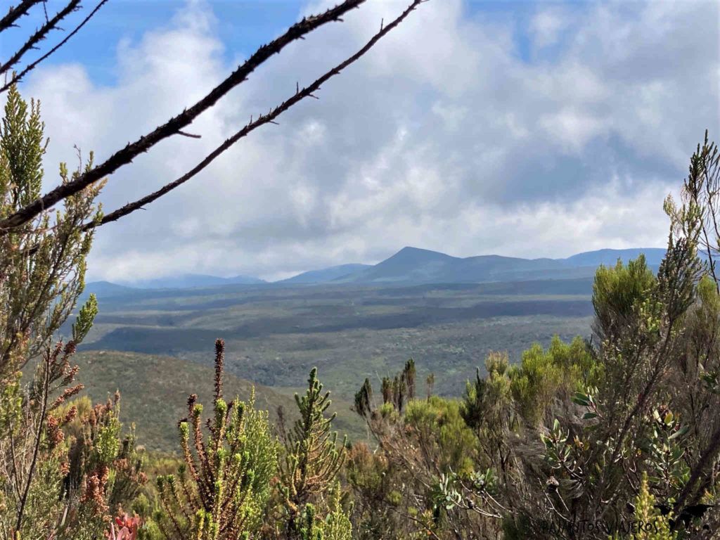 Kilimanjaro Tanzania Lemosho Sin Gluten Free