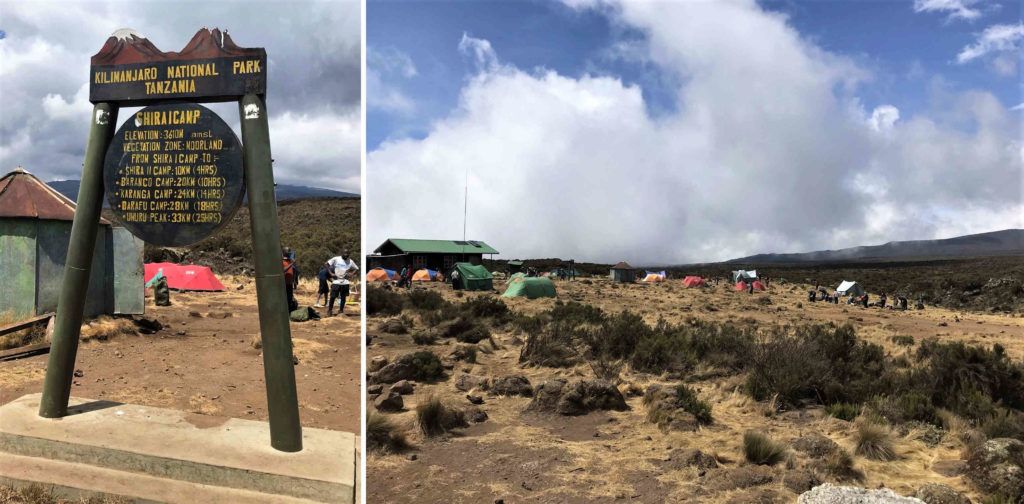 Kilimanjaro Tanzania Lemosho Sin Gluten Free