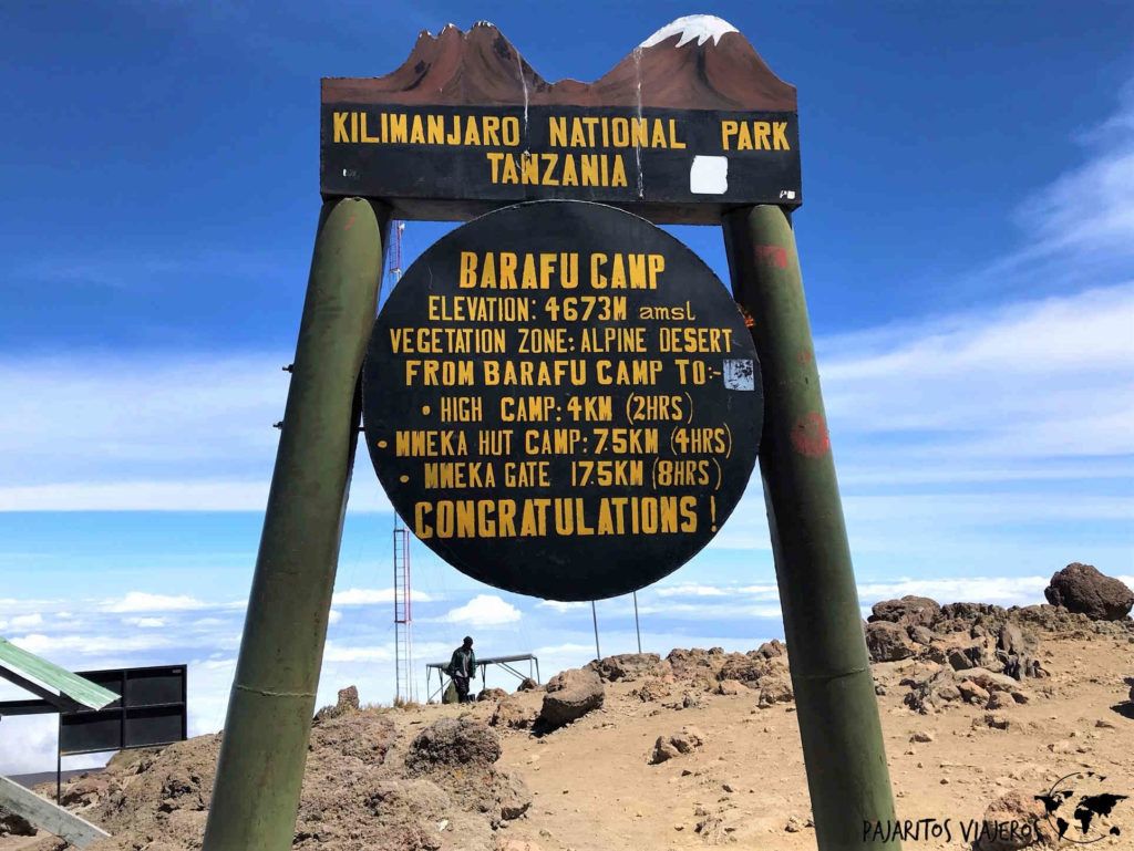 Kilimanjaro Lemosho Tanzania Sin Gluten Free