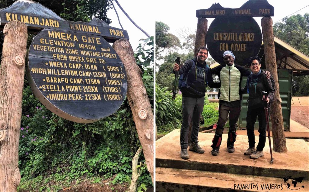 Kilimanjaro Lemosho Tanzania Sin Gluten Free