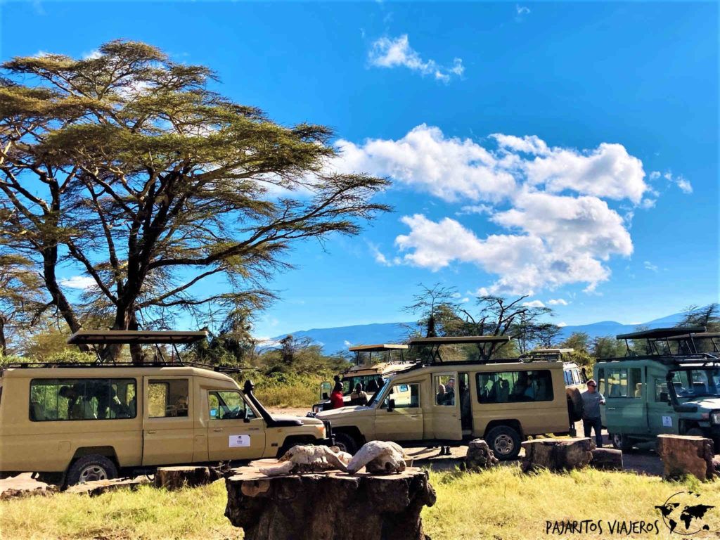 Kilimanjaro Tanzania safari Sin Gluten Free