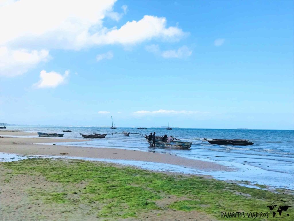 Zanzibar Playa Tanzania Sin Gluten Free
