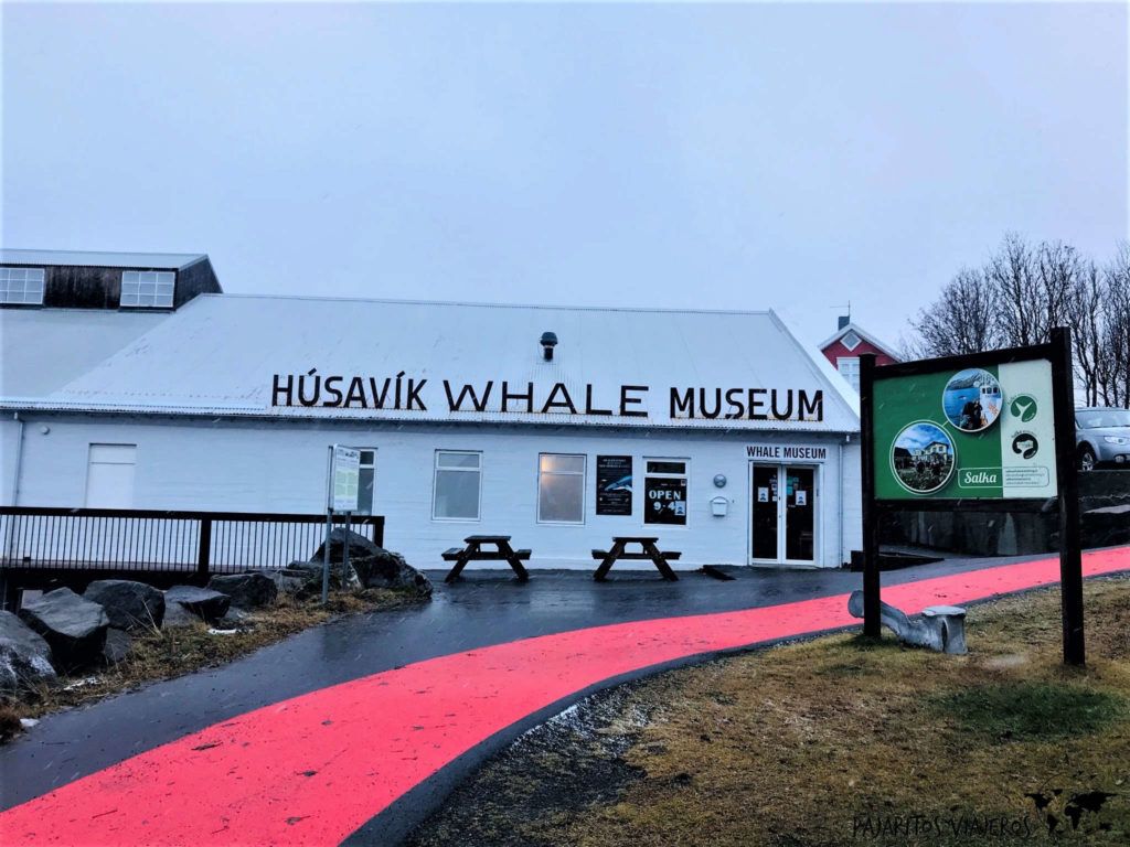 islandia sin gluten free ballenas husavík