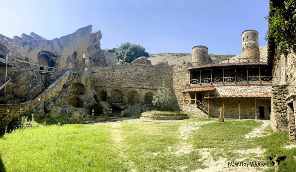 georgia david gareja