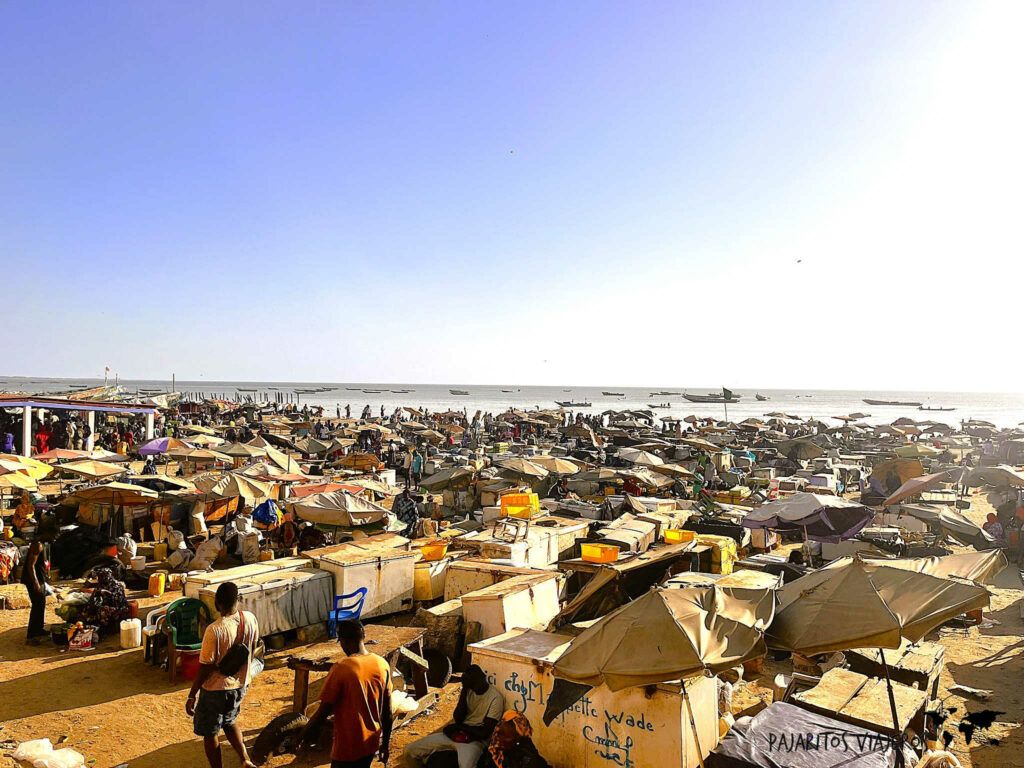 senegal dakar mbour pesca