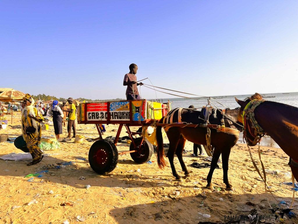 senegal dakar mbour pesca