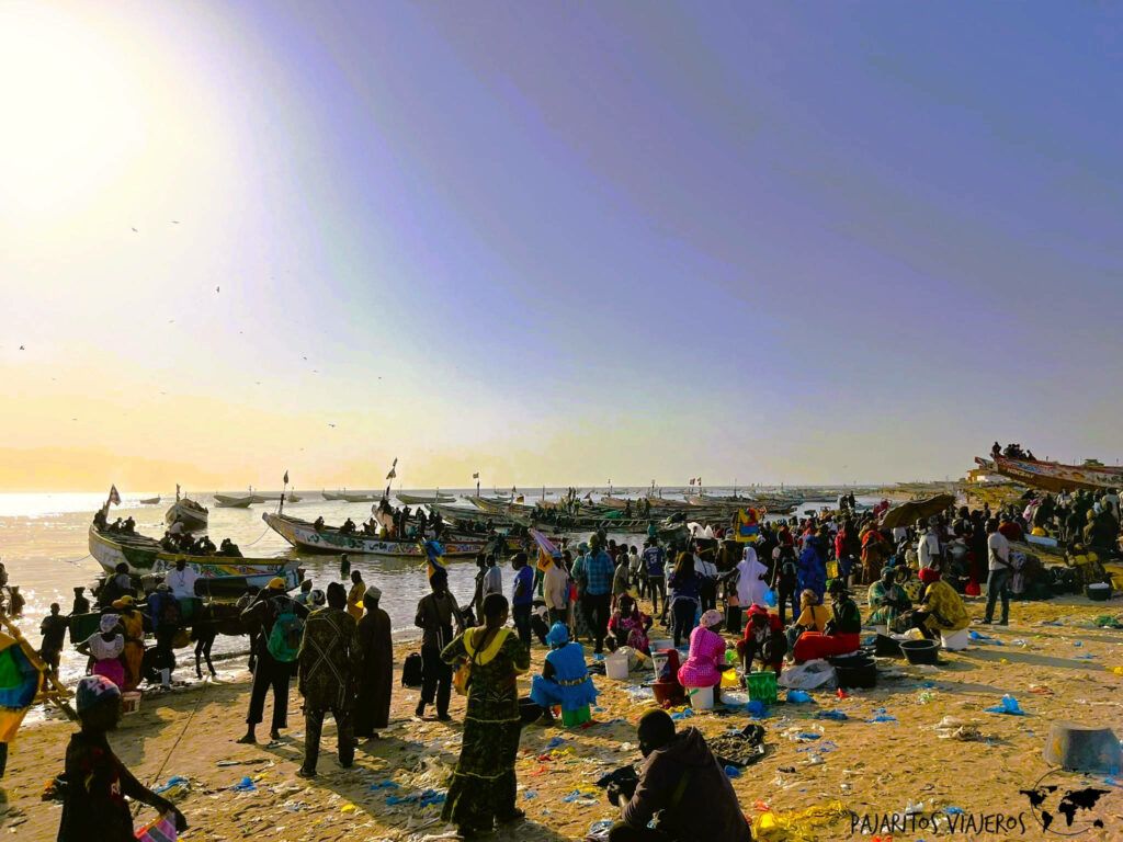 senegal dakar mbour pesca
