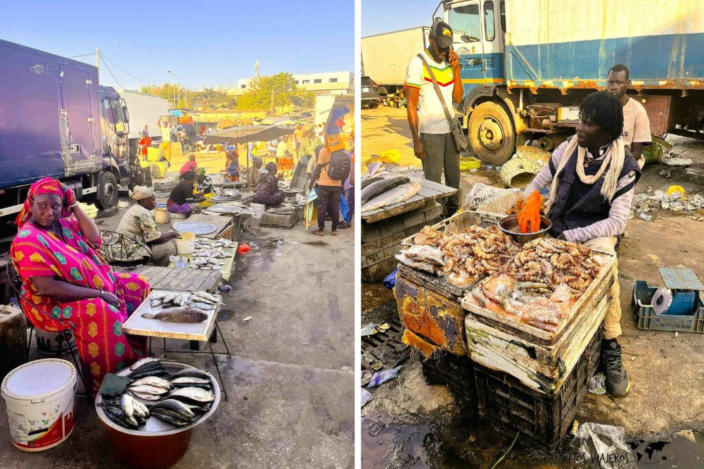 senegal dakar mbour pesca