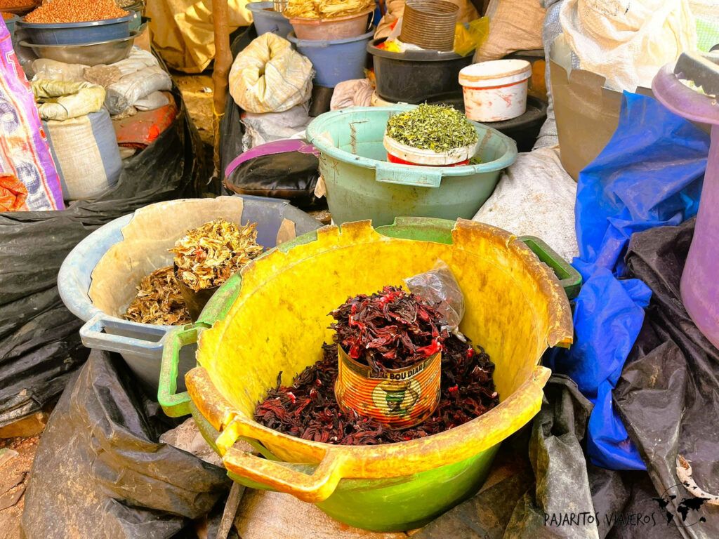 senegal dakar mbour pesca